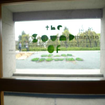 project.name